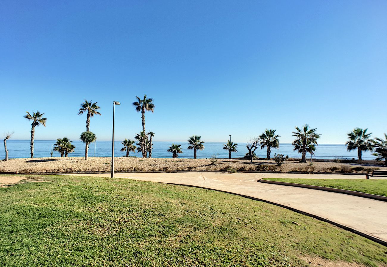Appartement à Pilar de la Horadada - Playa Elisa Bay - Sol y Mar
